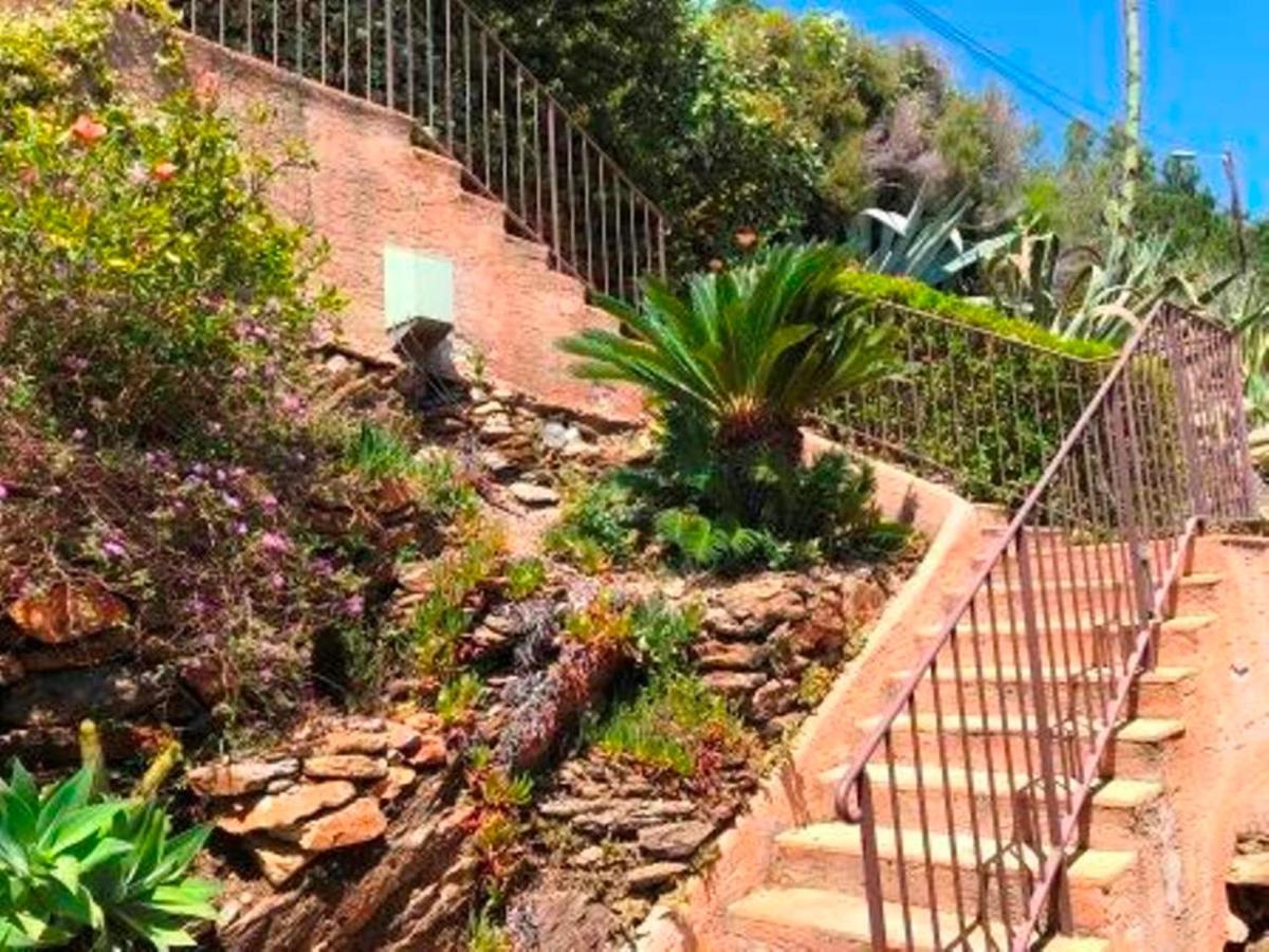 Villa Les Alizes Le Le Rayol-Canadel-sur-Mer エクステリア 写真