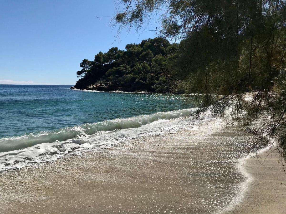 Villa Les Alizes Le Le Rayol-Canadel-sur-Mer エクステリア 写真