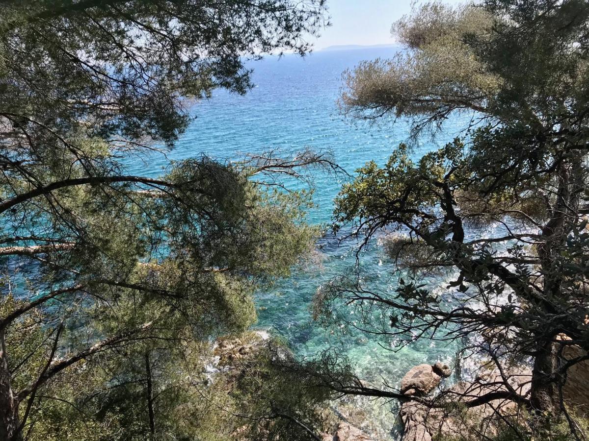 Villa Les Alizes Le Le Rayol-Canadel-sur-Mer エクステリア 写真