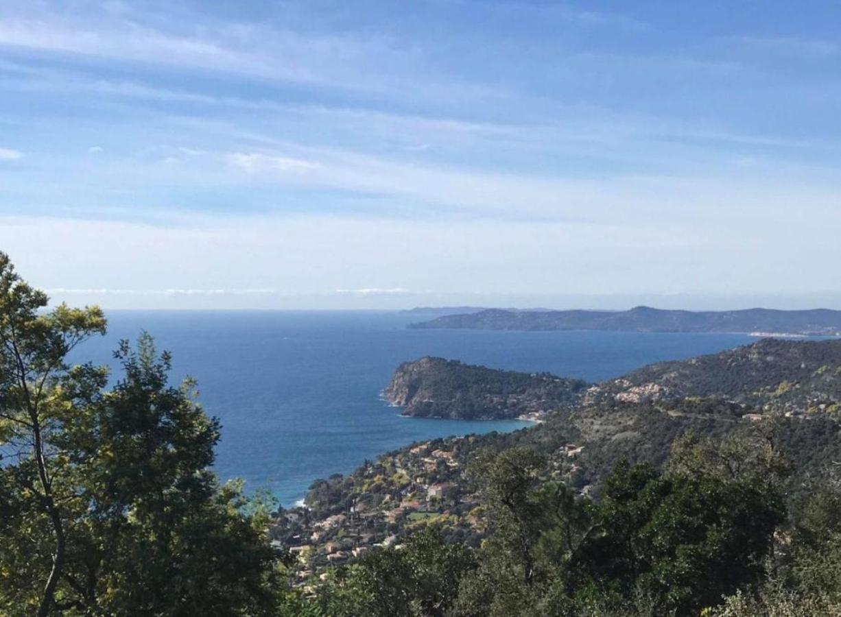 Villa Les Alizes Le Le Rayol-Canadel-sur-Mer エクステリア 写真