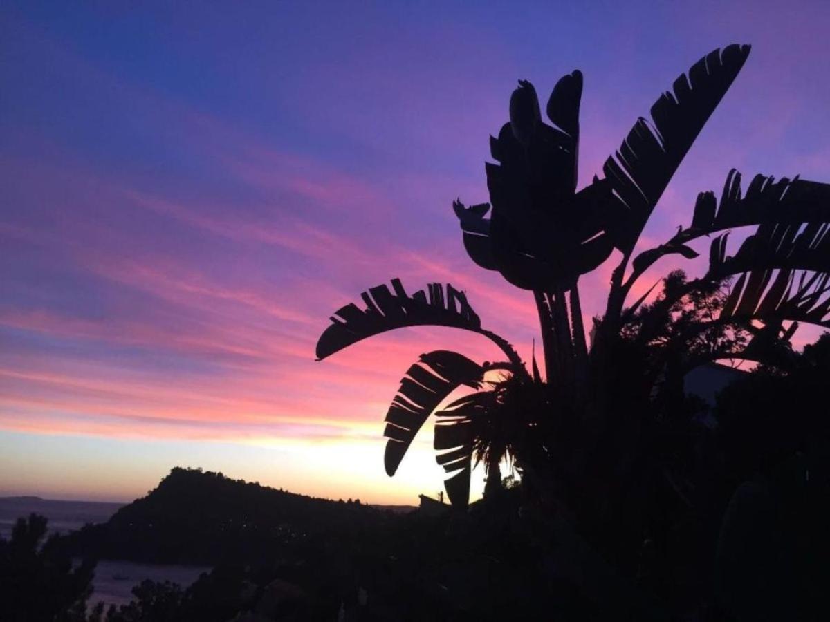 Villa Les Alizes Le Le Rayol-Canadel-sur-Mer エクステリア 写真