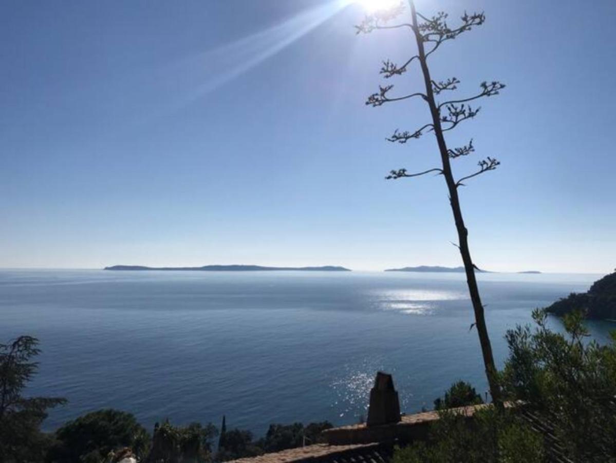 Villa Les Alizes Le Le Rayol-Canadel-sur-Mer エクステリア 写真