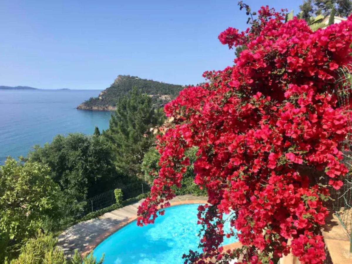 Villa Les Alizes Le Le Rayol-Canadel-sur-Mer エクステリア 写真