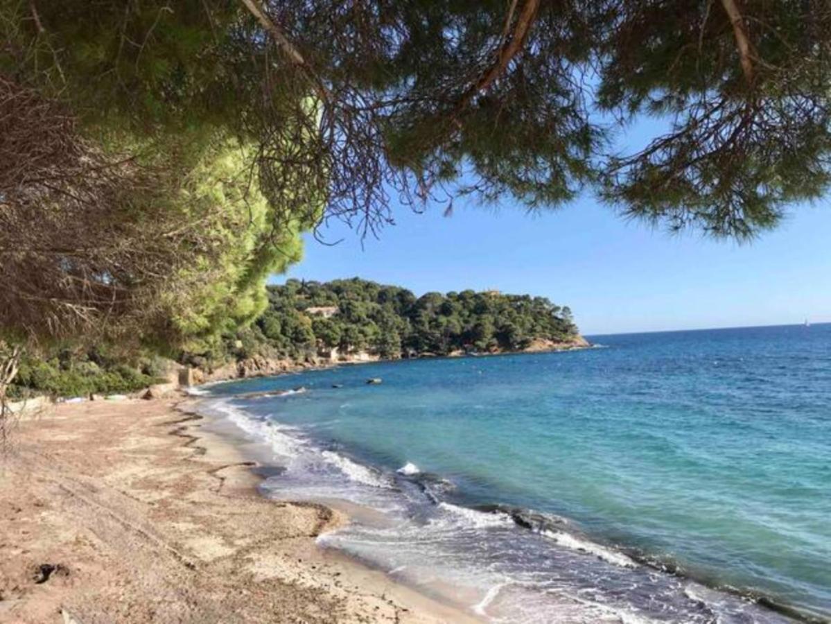 Villa Les Alizes Le Le Rayol-Canadel-sur-Mer エクステリア 写真