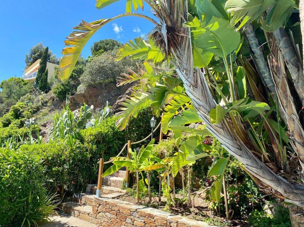 Villa Les Alizes Le Le Rayol-Canadel-sur-Mer エクステリア 写真