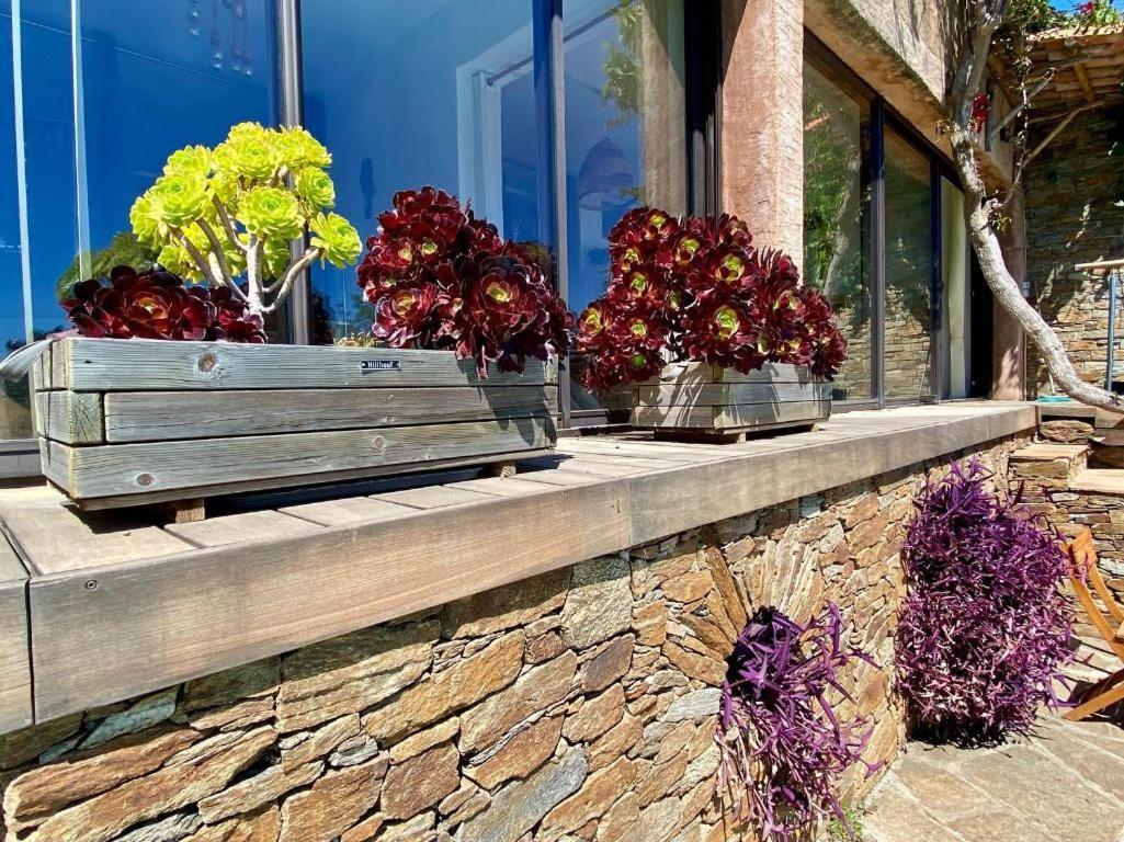 Villa Les Alizes Le Le Rayol-Canadel-sur-Mer エクステリア 写真