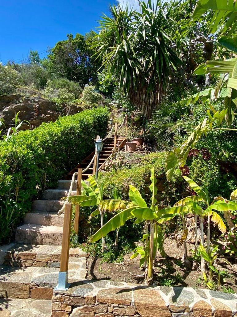 Villa Les Alizes Le Le Rayol-Canadel-sur-Mer エクステリア 写真